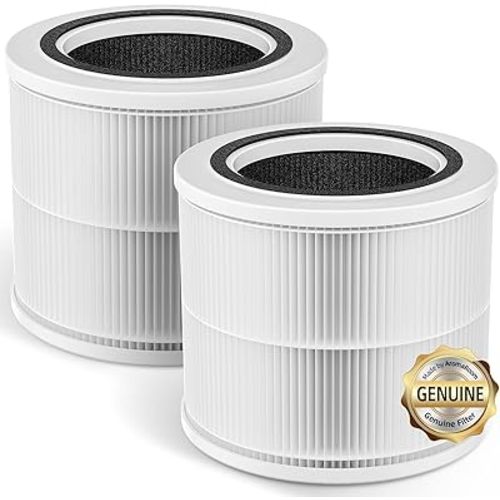 AromaRoom Air Filter Replacement, Compatible with AromaRoom AP100/AP102 Air Purifier, 2 Packs True High Filtration Air Purifier Filter, Air Cleaner Filter With Efficiency Activated Carbon