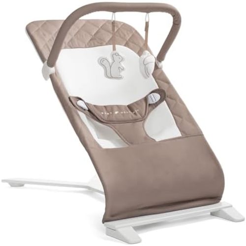 Baby Delight Alpine Deluxe Portable Bouncer, Organic Mocha