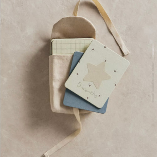 BABY MONTHLY MILESTONE KIT – 12 DONKEY CARDS - Baby accessories - KIDS AND BABY - BABY | Zara Home United States of America