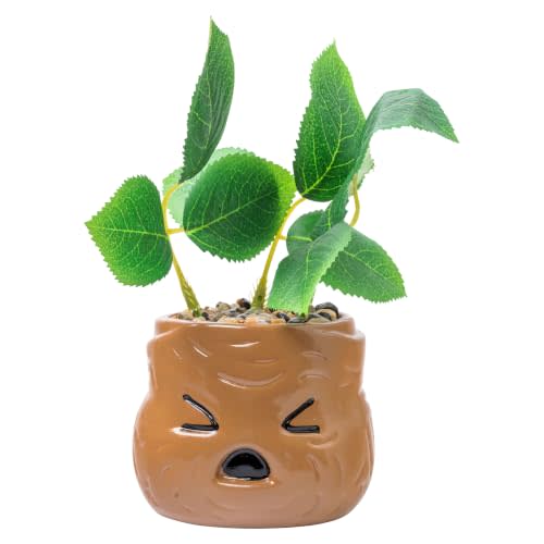 Silver Buffalo Harry Potter Mandrake Face, Artificial Faux Planter | Decorative, Greenery Plant in, Ceramic Pot