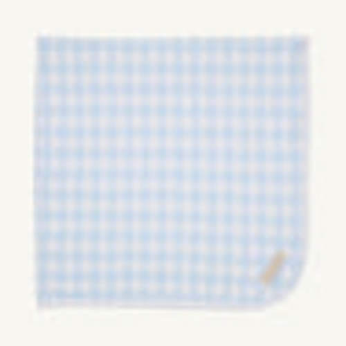 Baby Buggy Blanket - Merrimack Quack Quacks with Buckhead Blue