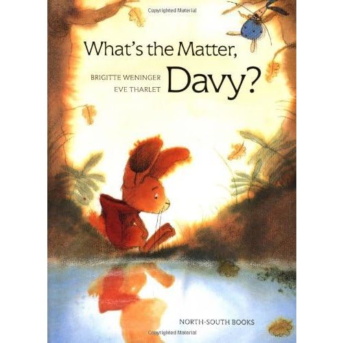 What's the Matter, Davy? Hardcover