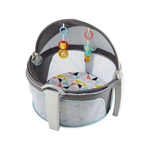 Fisher-Price On-the-Go Baby Dome, Windmill (DRF13)