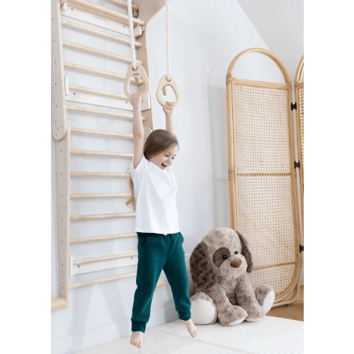 Montessori 2-in-1 Triangle & Wall Climber