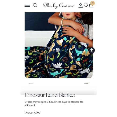 Dinosaur Land Blanket | Minky Couture