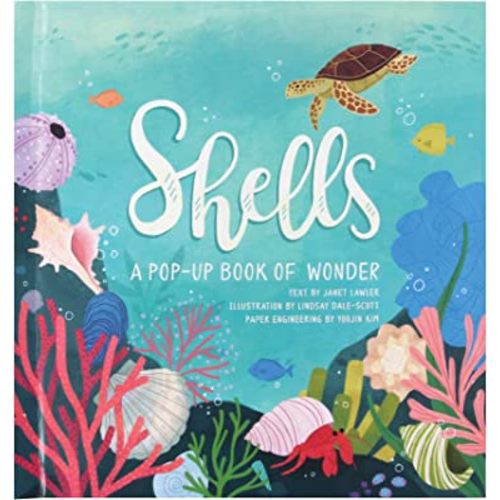 Shells: A Pop-Up Book of Wonder (4 Seasons of Pop-Up)