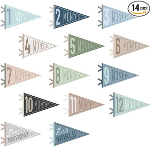 VitalCozy 14 Pcs Baby Milestone Pennant Signs Monthly Milestone Banner Flags Pennant Triangle Banner Age Flag Signs for Boy Girl Newborn Birthday Party Decor(Ocean Color)