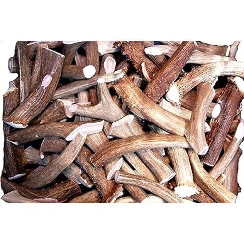 Premium Deer Antler Pieces - Dog Chews - Antlers by The Pound, One Pound - Six Inches or Longer - Medium, Large and XL - Happy Dog Guarantee!