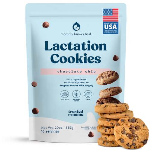 Mini Lactation Cookies - Chocolate Chip (1.25 lbs)