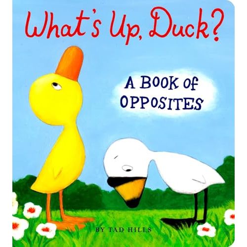 What's Up, Duck?: A Book of Opposites (Duck & Goose)