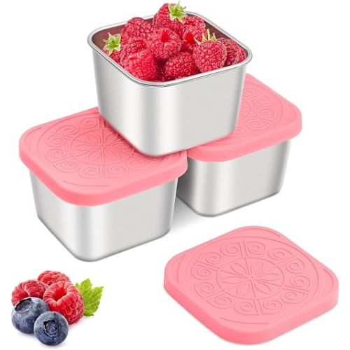 Stainless Steel Snack Containers