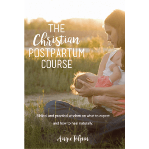 Christian Postpartum Program