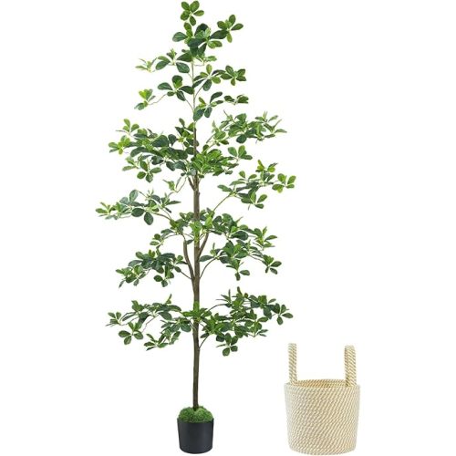 Caxchiling Artificial Black Olive Tree 6FT, Fake Potted Tree for Indoor Outdoor, Lifelike Faux Floor Plants with Moss Topper and Cotton Basket, Home Office Living Room Bedroom Doorway Hallway Decor