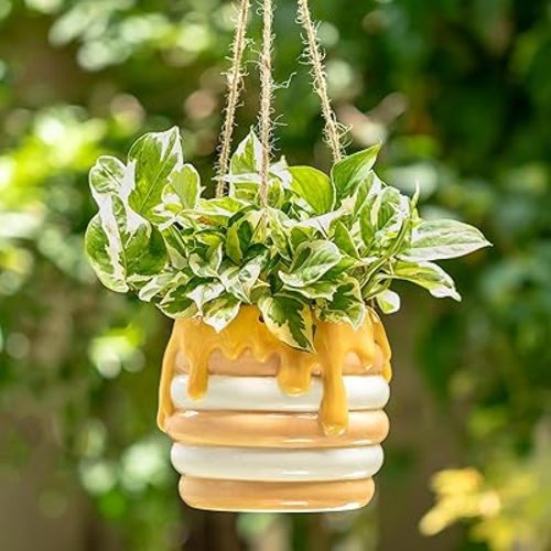 Bee Decor Hanging Planter: 6x4 Inch Opening Cute Flower Pot with Drainage - Ceramic Honey Plant Pot for Indoor Outdoor Garden Kitchen Bathroom