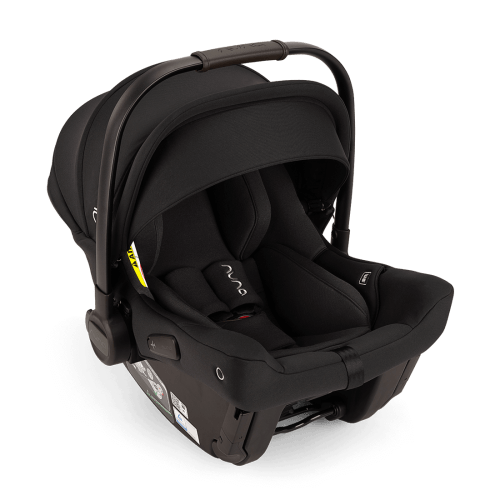 Fund for Nuna Pipa Urbn ($400)