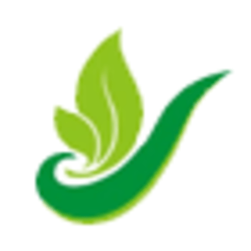 The Beginners Bible Flash Cards Box Set by Grolier - Homeschool - 253 Cards