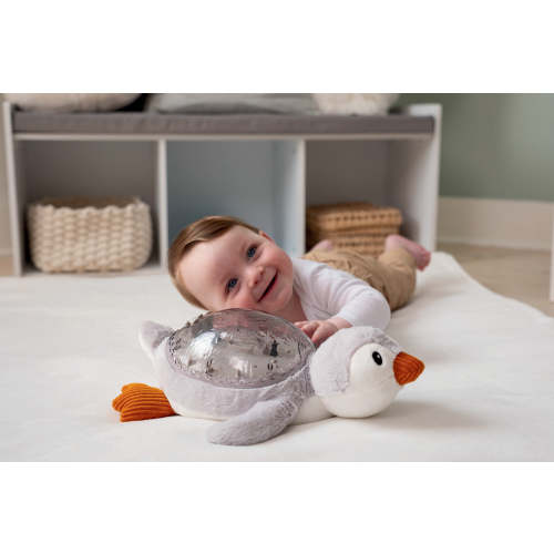 Cloud b Tranquil Penguin