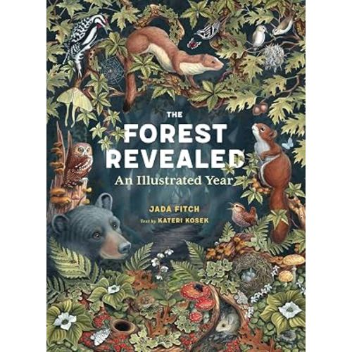 The Forest Revealed: An Illustrated Year