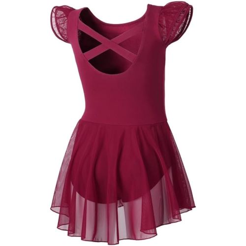 DIPUG Ballet Leotards for Girls Ballet Leotard with Skirt Toddler Dance Leotards Flutter Sleeve and Criss-Cross Back
