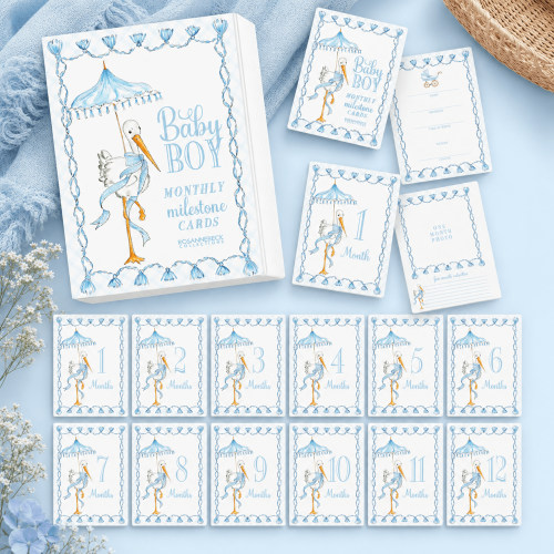 Hand Painted Baby Boy Stork Milestone Cards