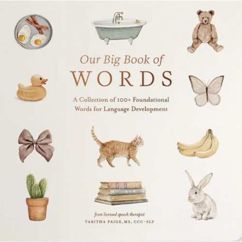 Our Big Book of First Words: A Collection of 100+ Foundational Words for Language Development (Tabitha Paige Children's Book Series)