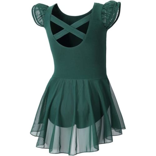 DIPUG Ballet Leotards for Girls Ballet Leotard with Skirt Toddler Dance Leotards Flutter Sleeve and Criss-Cross Back