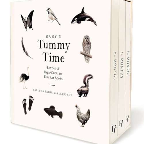 Amazon.com: Baby's Tummy Time Book Box Set: A 3-Book Box Set of High-Contrast Art for Visual Stimulation at Tummy Time (Tabitha Paige Children's Book Series): 9781958803899: Paige, Tabitha, Paige Tate & Co.: Books