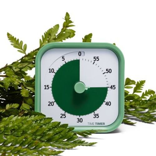TIME TIMER Home MOD - 60 Minute Visual Timer - Homeschool, Study Tool, Task Focus, and Meetings with Silent Operation (Fern Green)
