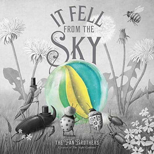 It Fell from the Sky, (Hardcover)