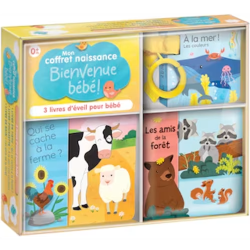 Mon Coffret Naissance : Bienvenue Bébé !: 3 Livres D'éveil Pour Bébé Livre Par Corinne Delporte, (Coffret) | Indigo