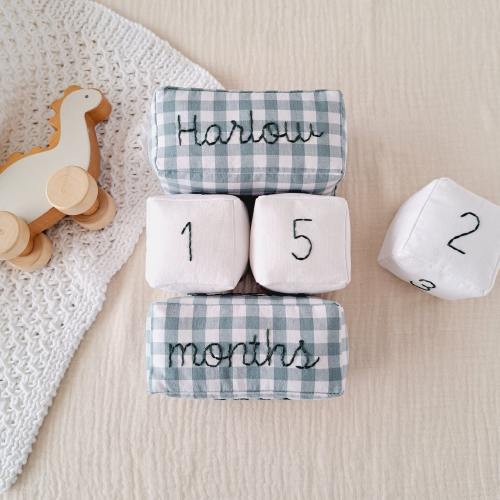 Teal blue gingham milestone blocks with customizable name - Photo accessories for baby's first year