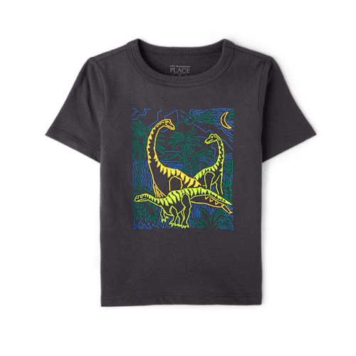 Baby And Toddler Boys Dino Graphic Tee - Gray
