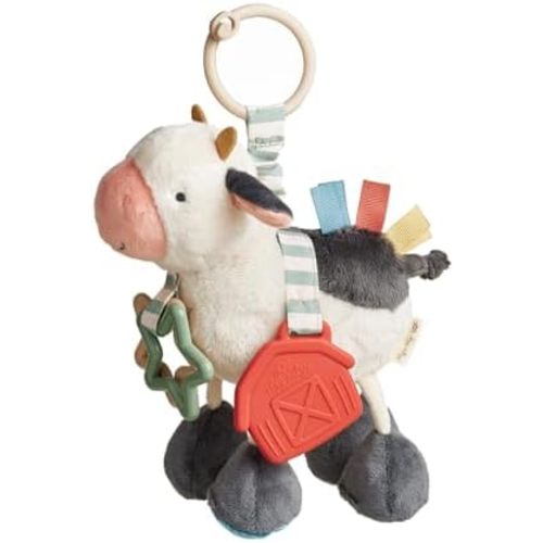 Car Seat & Stroller Toy