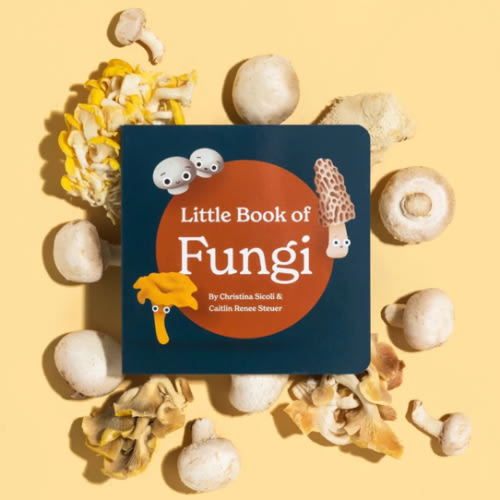 Little Book Of Fungi