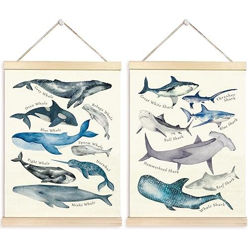 TAEDIN Ocean Animal Chart Wall Art Poster Hanger Frame Set of 2 - Shark Whale Wall Decor with Wood Frames, Coastal Nautical Decor for Bathroom Home Classroom Lake House, 12x16 Inches