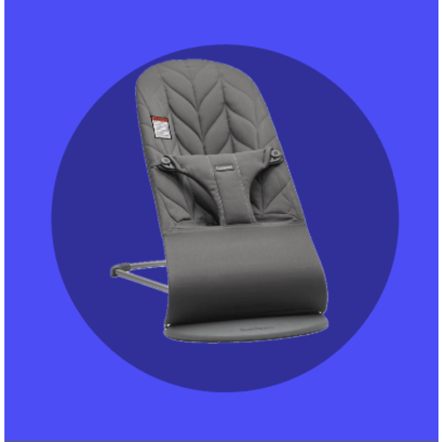 Bouncer Chair Fund
