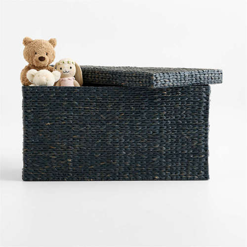 Wonderful Wicker Blue Woven Kids Toy Box with Lid