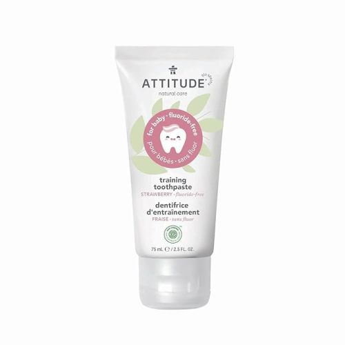 ATTITUDE Baby & Child Fluoride-Free Training Toothpaste, Natural, Vegan & EWG Top Scoring, Strawberry, 2.5 Oz (16721) - 2.5 Fl Oz (Pack of 1)