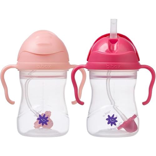 b.box + Lansinoh Weighted Straw Sippy Cup for Babies 6 Months+ (2 Pack)| Leak‑Proof, BPA‑Free, 8 oz Toddler Cup | Drink From Any Angle | Easy Grip, Dishwasher Safe | Tutti Frutti + Raspberry