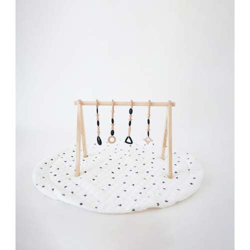 Play Gym Set