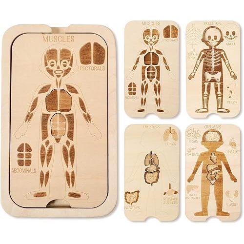 WOODEN TEETHER Wooden Human Body Puzzle Toy,18 Pcs Body Anatomy Puzzle Play Set for Toddlers Aged 3+, Includes Organs Muscles and Skeleton Educational Learning Preschool Toys for Boys and Girls