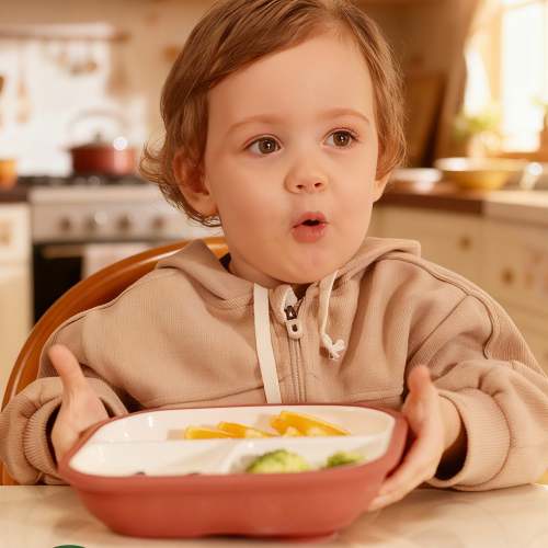 Toddler Porcelain Plates - Suction, Divided, 3-Pack | Babelio