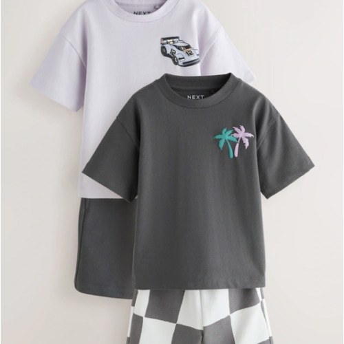 Buy Charcoal Grey/Lilac Short Sleeve T-Shirt and Shorts Set 2 Pack (3mths-7yrs) from Next USA