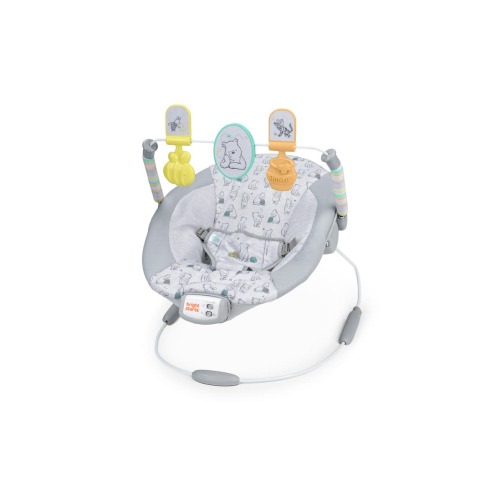 Disney Baby Winnie the Pooh Classic Pals Vibrating Bouncer