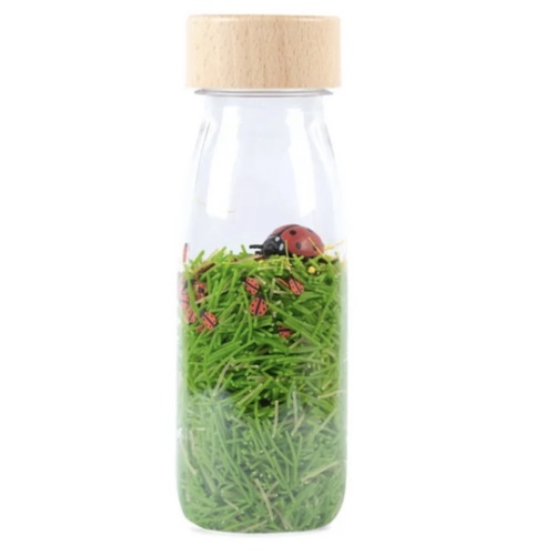 Cocinelles sensory bottle