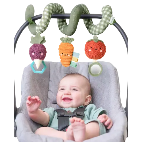 Itzy Bitzy Spiral™ car seat toy