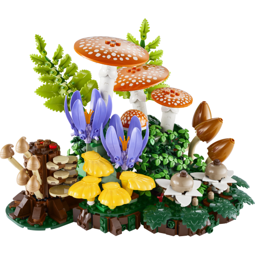 Woodland Mushrooms