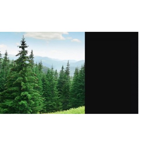 Delta Children Skylar 6-in-1 Convertible Crib - Bianca White: Adjustable Height, Daybed & Toddler Bed Options, Traditional Style