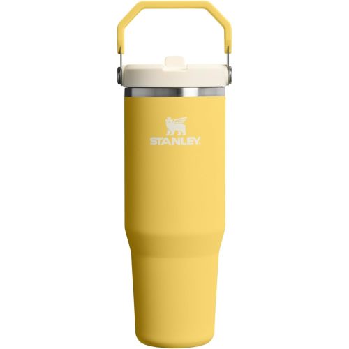 STANLEY IceFlow 2.0 Flip Straw Tumbler with Handle 30 oz | Twist On Lid and Flip Up Straw | Leakproof Water Bottle | Insulated Stainless Steel | BPA-Free | Daffodil