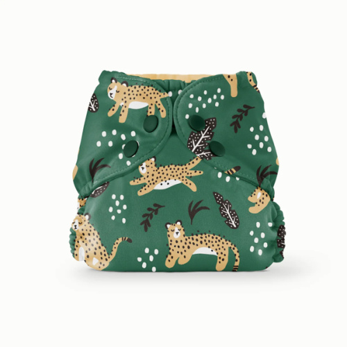 Outer–WWF Wildcats / Two